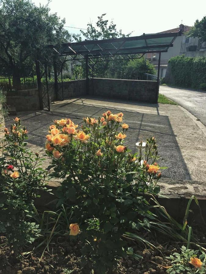 Apartment Gregoric อิซอลา ภายนอก รูปภาพ